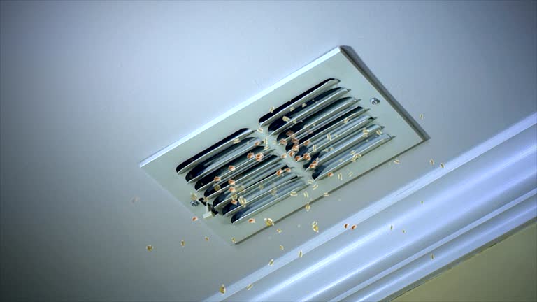 Best HVAC Air Duct Cleaning  in Maurice, LA
