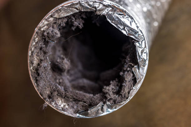 Affordable HVAC Duct Cleaning in Maurice, LA