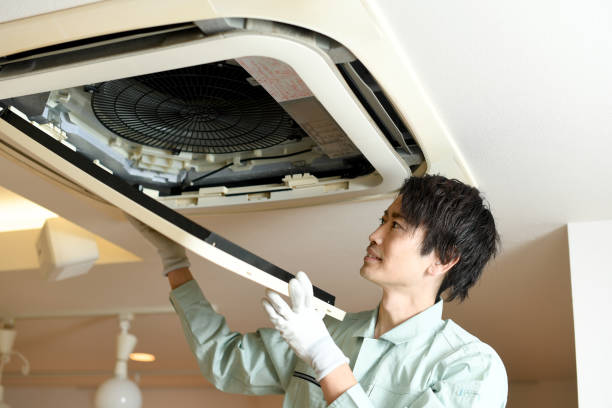 Best Affordable Air Duct Cleaning  in Maurice, LA