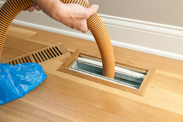 Best Affordable HVAC Duct Cleaning  in Maurice, LA