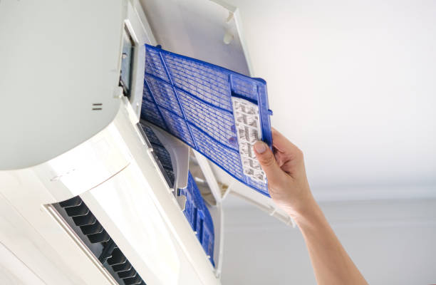 Best Affordable Air Duct Cleaning  in Maurice, LA