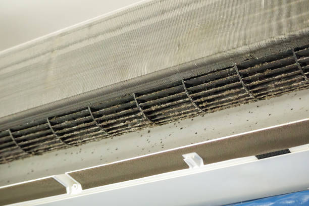 Best Best Air Duct Cleaning Company  in Maurice, LA