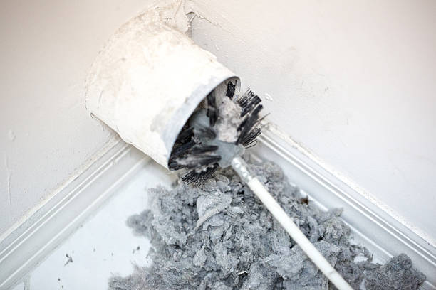 Best Ductwork Cleaning Services  in Maurice, LA